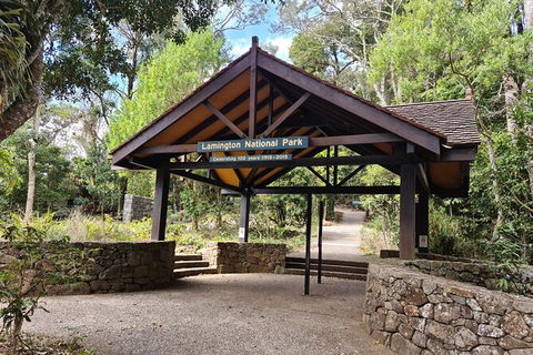 O\'Reilly\'s And Binna Burra Full-Day Tour - Lamington National Park - Local Tourism 8