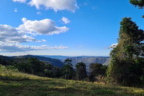 O\'Reilly\'s And Binna Burra Full-Day Tour - Lamington National Park - Local Tourism 5