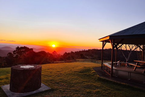 O\'Reilly\'s And Binna Burra Full-Day Tour - Lamington National Park - Local Tourism 3