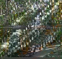 O'Reilly's and Binna Burra Full-Day Tour - Lamington National Park - Local Tourism
