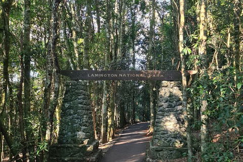O\'Reilly\'s And Binna Burra Full-Day Tour - Lamington National Park - Local Tourism 0