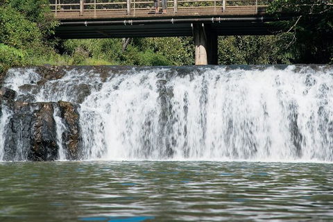 Tablelands Food & Wine Tour - Accommodation Australia 6