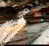 Half Day Aboriginal Rock Art Experience in Queensland - Local Tourism