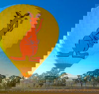 Hot Air Ballooning Tour from Northern Beaches near Cairns - Local Tourism