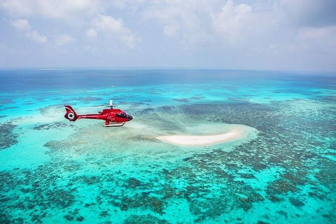 Day Tour To Kuranda, Rainforest And Port Douglas With Flight - Australia Shopping 2