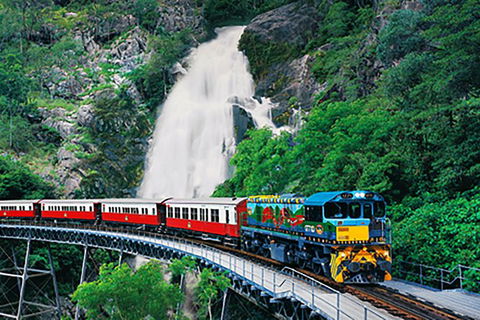Day Tour To Kuranda, Rainforest And Port Douglas With Flight - Australia Shopping 4