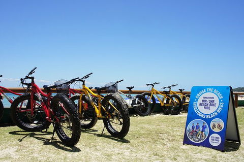 Adventure Moreton Island Scuba Dive Tour - Local Tourism 1