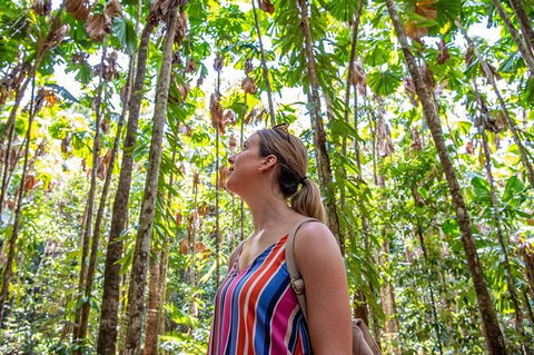 5 Day Australia Retreat: Queensland Daintree - Accommodation Australia 3