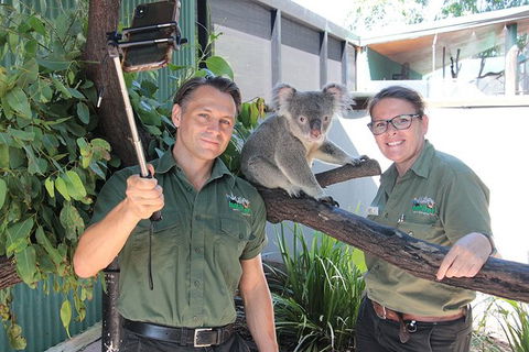 Virtual Interactive Australian Wildlife Tour With Private Guide-Wildlife Habitat - Australia Shopping 4