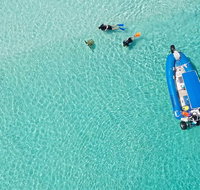Remote Fraser Island  Whale Experience - Local Tourism