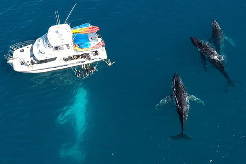 Remote Fraser Island & Whale Experience - Local Tourism 3