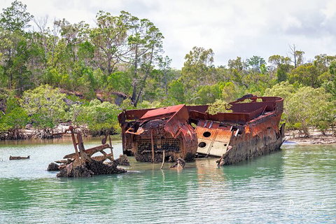 Sandy Straits Scenic & Wildlife Cruise - Local Tourism 9