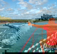 Sandy Straits Scenic  Wildlife Cruise - Local Tourism