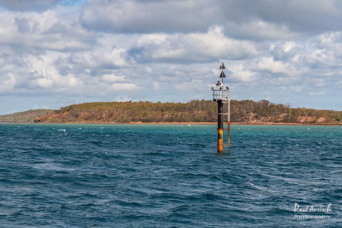 Sandy Straits Scenic & Wildlife Cruise - Local Tourism 6