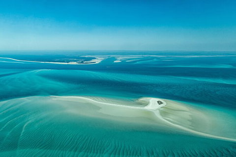 Sandy Straits Scenic & Wildlife Cruise - Local Tourism 5