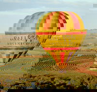 Barossa Valley Hot Air Balloon Ride with Breakfast - Local Tourism