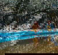 Kayak Tour in Adelaide Dolphin Sanctuary - Local Tourism