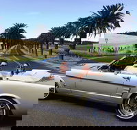 Classic Mustang Convertible Barossa Valley Half Day Private Tour For 2 - Australia Shopping