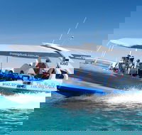 Seal Island Boat Tour from Victor Harbor - Local Tourism