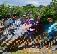 Adelaide Hills and Hahndorf Half Day - Local Tourism