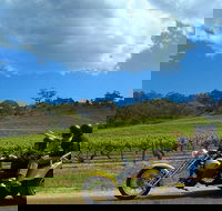 Unique Trike Barossa Valley Half Day Private Tour For 2 - Australia Shopping