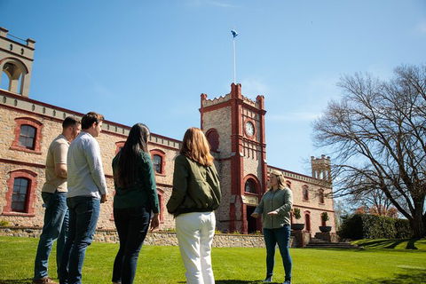 Yalumba Unlocked - Local Tourism 1