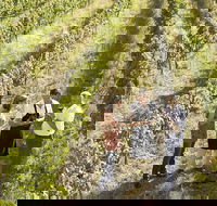 Beyond The Velvet Rope - Behind the Scenes Tour - Australia Shopping