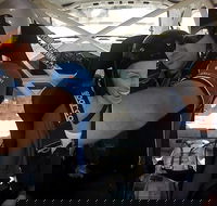 Barossa Rally School Hotlap Ride in a Rally Car 3 Laps - Australia Shopping