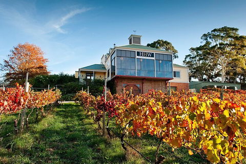 Adelaide Hills Food, Wine, Cheese, & Chocolate - Private Day Tour - Accommodation Australia 7