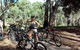 Adelaide City And Parklands Bike Tour - Half Day - thumb 3