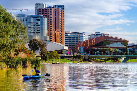 Adelaide City Kayak Tour - Accommodation Australia 7