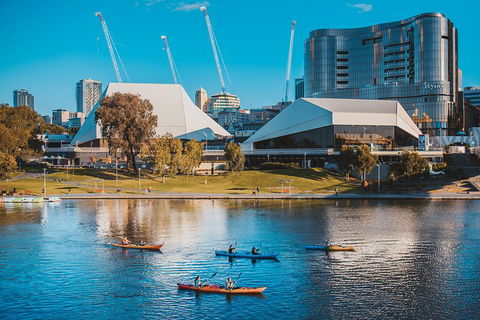 Adelaide City Kayak Tour - Accommodation Australia 2
