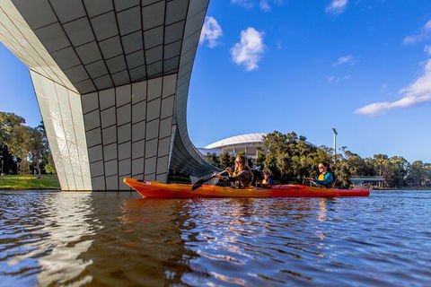 Adelaide City Kayak Tour - Accommodation Australia 5