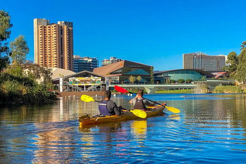 Adelaide City Kayak Tour - Accommodation Australia 3