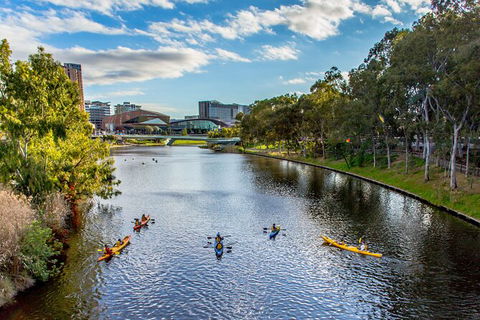 Adelaide City Kayak Tour - Accommodation Australia 6