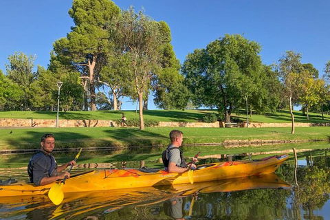 Adelaide City Kayak Tour - Accommodation Australia 4