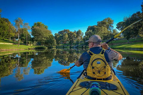 Adelaide City Kayak Tour - Accommodation Australia 1