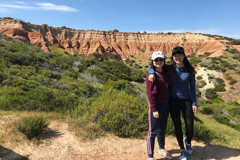 Adelaide Driving Tour - Accommodation Australia 5