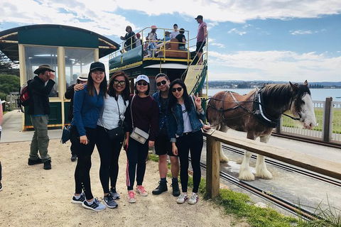 Adelaide Driving Tour - Accommodation Australia 3