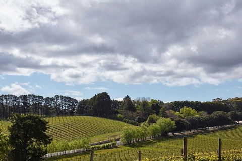 Adelaide Hills Full Day Winery Tour With Tastings - Accommodation Australia 4