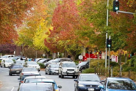 Adelaide Hills Full Day Winery Tour With Tastings - Accommodation Australia 3