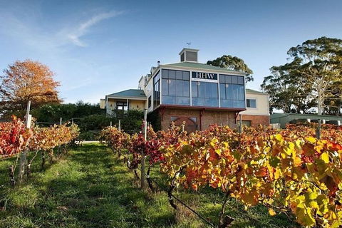 Adelaide Hills Full Day Winery Tour With Tastings - Accommodation Australia 0