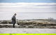 Bruny Island Day Tour, Includes Lunch And Exclusive Lighthouse Tour - thumb 11