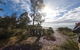 Bruny Island Day Tour, Includes Lunch And Exclusive Lighthouse Tour - thumb 15