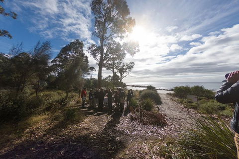 Bruny Island Day Tour, Includes Lunch And Exclusive Lighthouse Tour - Accommodation Australia 15