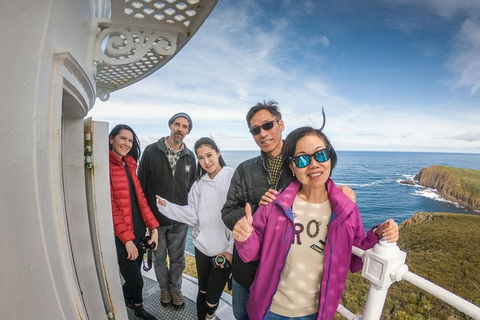 Bruny Island Day Tour, Includes Lunch And Exclusive Lighthouse Tour - Accommodation Australia 10