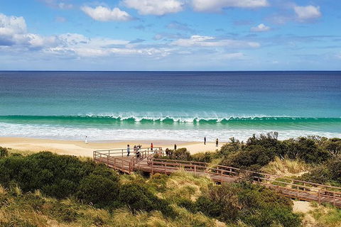 Bruny Island Day Tour, Includes Lunch And Exclusive Lighthouse Tour - Accommodation Australia 4