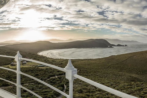 Bruny Island Day Tour, Includes Lunch And Exclusive Lighthouse Tour - Accommodation Australia 14