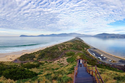 Bruny Island Day Tour, Includes Lunch And Exclusive Lighthouse Tour - Accommodation Australia 16