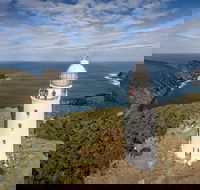 Bruny Island Day Tour Includes Lunch and Exclusive Lighthouse Tour - Accommodation Australia